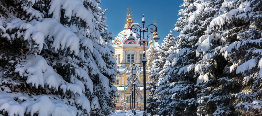 雪の積もった木々から覗く建物