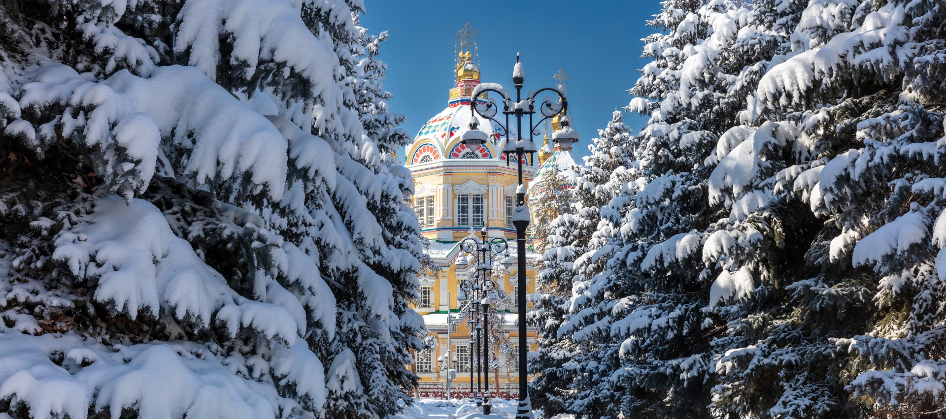 雪の積もった木々から覗く建物